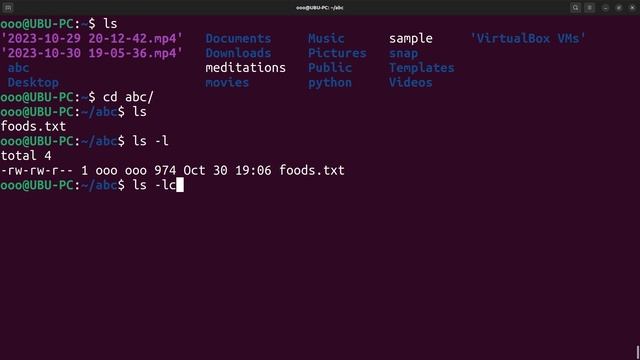 Understanding Linux File Timestamps: Modification, Access, and Change Times Explained смотреть онлайн
