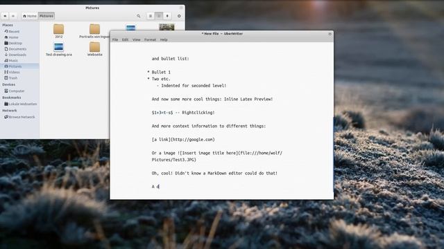 UberWriter 12.10 смотреть онлайн