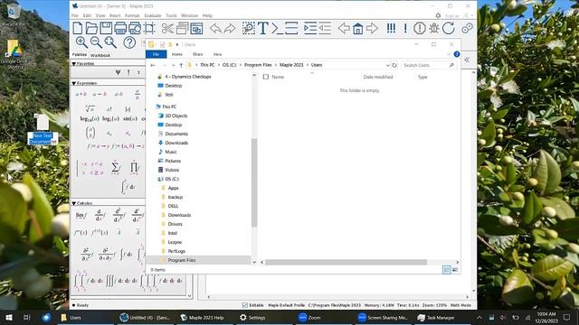 Learning Maple: Creating a Maple Initialization file (maple.ini) смотреть онлайн
