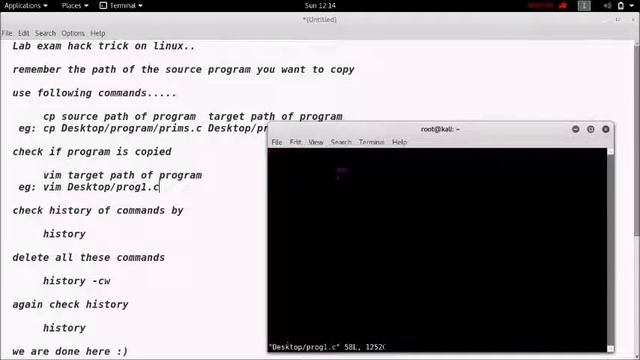 full it lab exam hack using simple linux commands смотреть онлайн