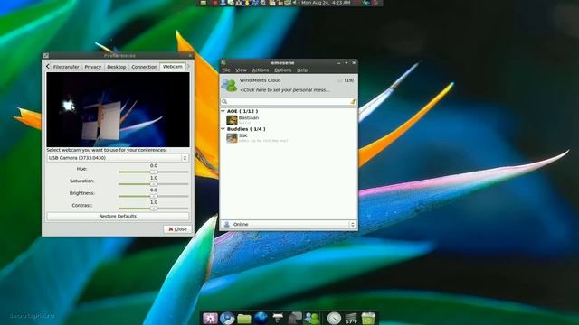 MSN Chat w/ Webcam - Emesene 1.5 - Linux Mint 7 смотреть онлайн