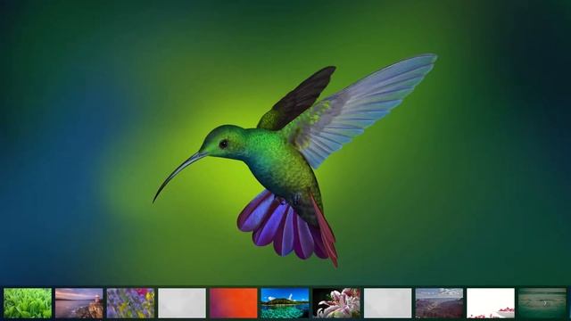 Deepin Desktop Environment 15.5 on Ubuntu 17.10 смотреть онлайн