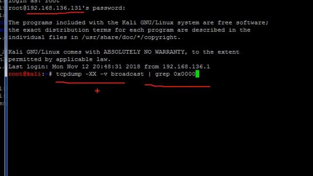 Sending DATA to all systems (LAN) via ARP Broadcast Traffic by "VID tag" смотреть онлайн