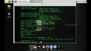 How to Fix the Internet Connection Bug in Linux Mint