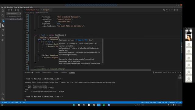 Building grep in Golang using Test Driven Development Part 3 смотреть онлайн