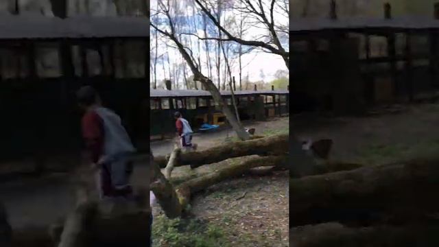 Благодарности пост 03.05.22 смотреть онлайн