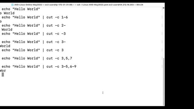 Day 16 Linux Adv Commands tail head more less wc смотреть онлайн