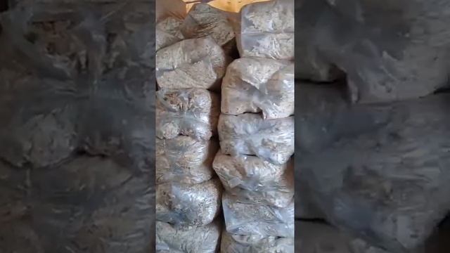 Благодарности пост смотреть онлайн