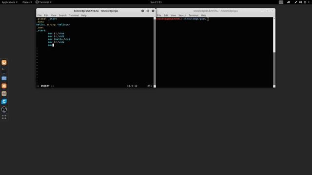 GAS x64 GNU Assembler output tutorial in Linux смотреть онлайн