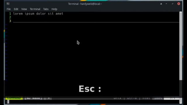 Tutorial how To Write and Save in Vi, Vim or Neovim смотреть онлайн
