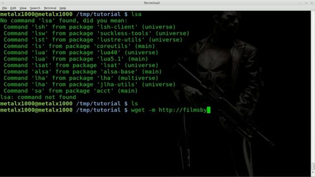 Mirroring a Website with wget revisited - Linux - BASH смотреть онлайн