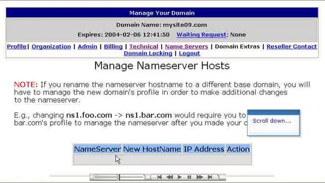Creating private nameservers at OpenSRS.net смотреть онлайн