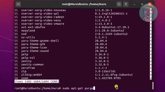 How To Uninstall Zoom Meeting in Ubuntu [Tutorial] смотреть онлайн