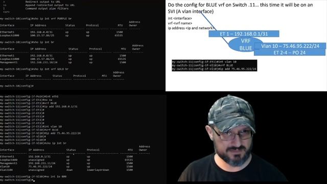 Trunks, Portchannels, access ports, vrf's and routing... смотреть онлайн