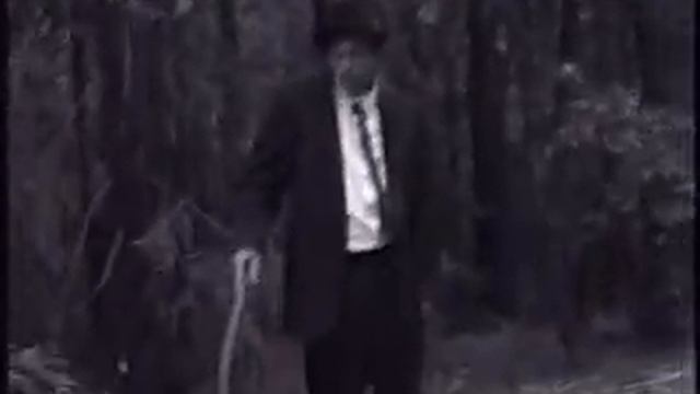 tom waits black fedora concept pt. 2= lost in the swamp смотреть онлайн