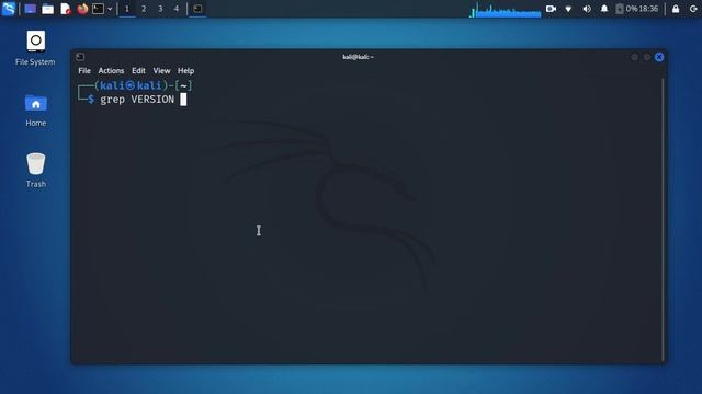 Kali Linux 2021.4 Release! What's New! смотреть онлайн