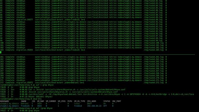 FreeBSD bhyve live migration: Linux Debian guest + networking смотреть онлайн