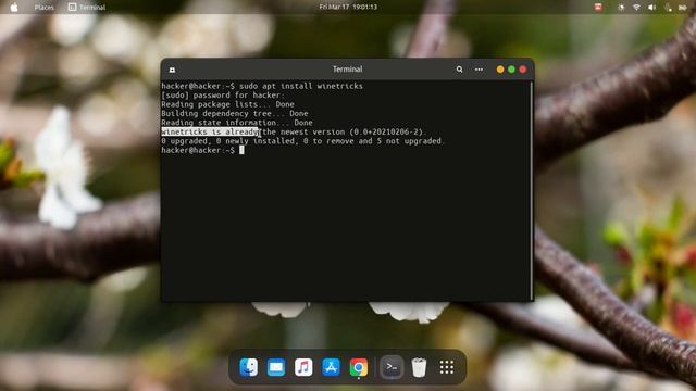 INTERNET DOWNLOAD MANAGER IN LINUX смотреть онлайн