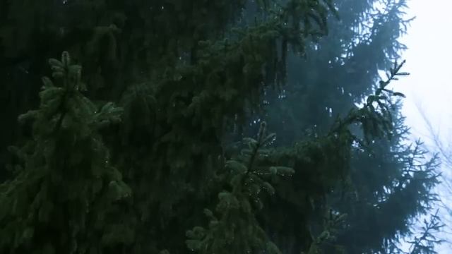 9 True Scary Stories To Keep You Up At Night (Horror Compilation W/ Rain Sounds) смотреть онлайн