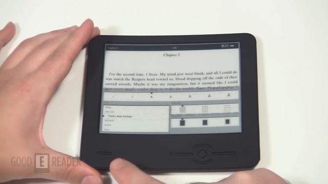 Wexler Flex One EReader Review