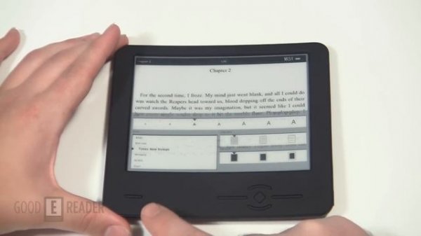 Wexler Flex One eReader Review