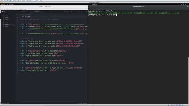 Linux Script Shell - 14 - Couleur / Color смотреть онлайн