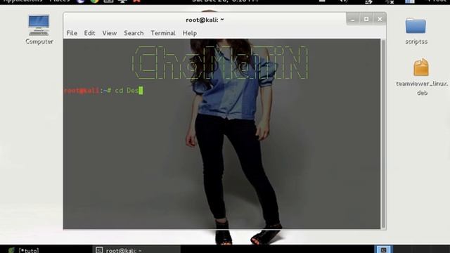 How to install teamviewer in kali linux смотреть онлайн