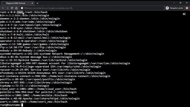 Tutoriel Linux - 35. Comprendre le fichier /etc/passwd смотреть онлайн