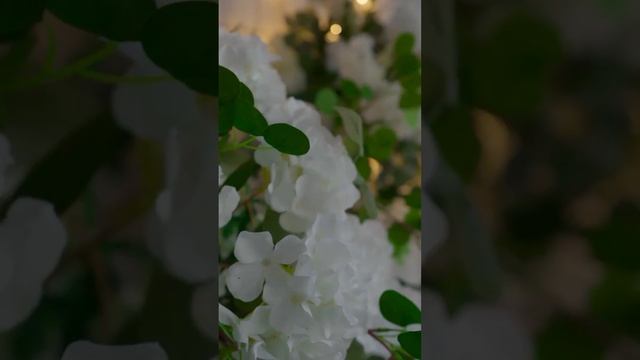 Новый обзор сферы D14 (150m2) уже на канале! #глэмпинг #glamping смотреть онлайн