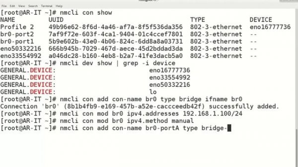 Configuring Network Bridge in Linux
