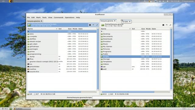 Sunflower-fm -- Twin Panel File Manager (Alpha Version) - Linux GNOME смотреть онлайн