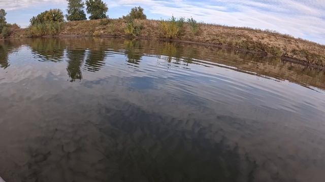 Чуть не упустила трофей