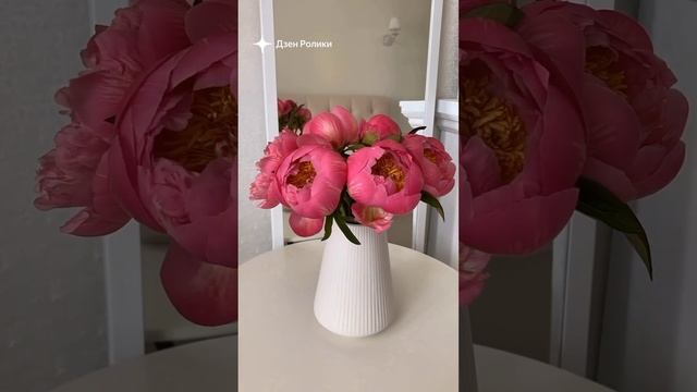 эстетика смотреть онлайн