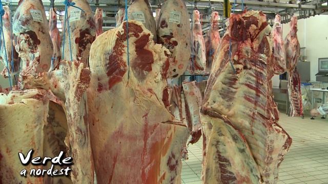 Azove Carni. Centro di lavorazione e macellazione di Loria (TV) смотреть онлайн