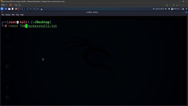 Linux Basic Commands | Kali Linux смотреть онлайн