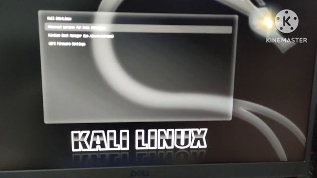 Kali Linux Black Screen After Boot Problem solved 2024! смотреть онлайн