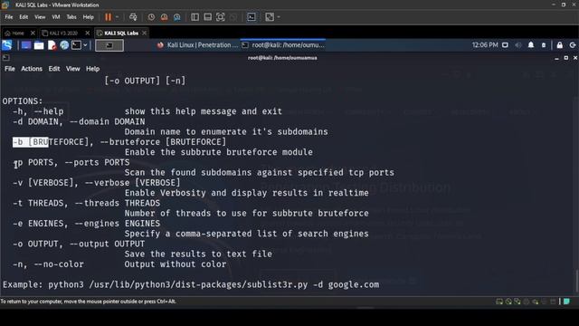 How to find subdomains with Sublist3r смотреть онлайн