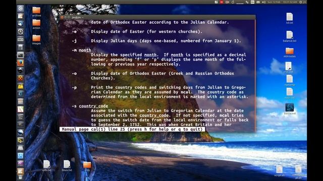 Calendar Fun [Linux Terminal] смотреть онлайн