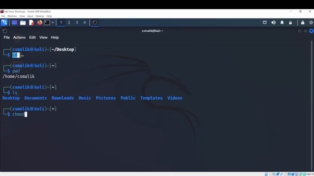 Kali Linux Tutorial For Beginners смотреть онлайн