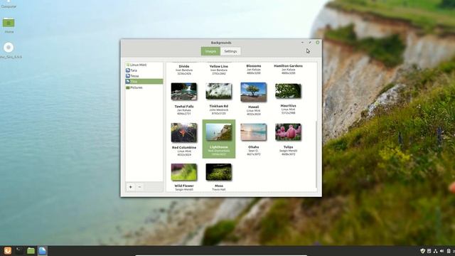 The Default Linux Mint Wallpaper смотреть онлайн