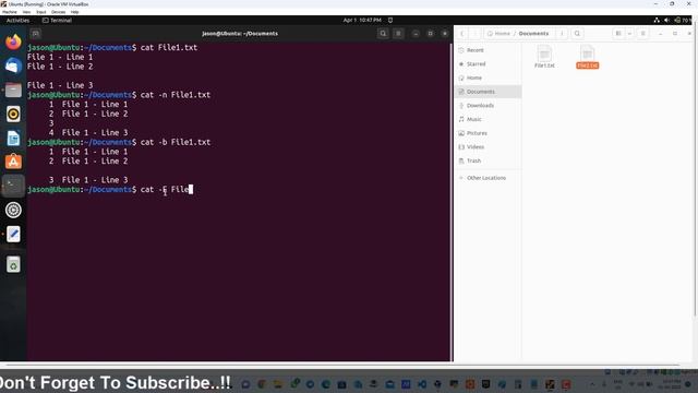 Linux Basic Command - 4 | cat Command | In Hindi смотреть онлайн