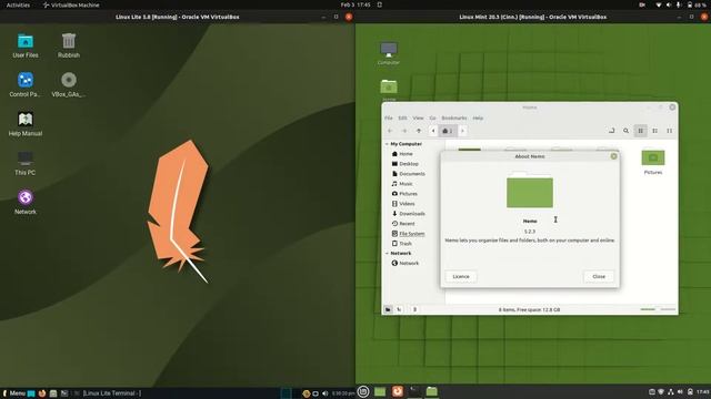 Linux Lite 5.8 vs Linux Mint 20.3 смотреть онлайн