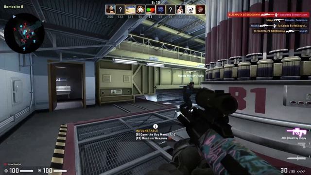 CSGO AUG Death by Puppy Minimal Wear смотреть онлайн