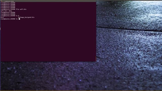 UEFI Linux Secure Boot Kernel Signing and Verification demo смотреть онлайн