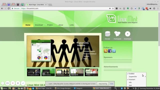 Linux Mint 18.3 Cinnamon Telegram смотреть онлайн