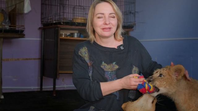 Львята в Дино смотреть онлайн