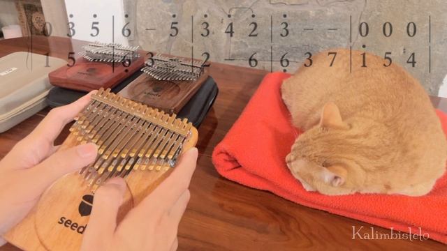 ✨ Unboxing NEW 2023 Seeds Pisces Plus 41-key Kalimba