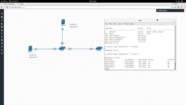 Trunking Cisco video Training смотреть онлайн