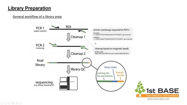 NGS Series: Fundamental in Amplicon Sequencing &Bioinformatics Analysis смотреть онлайн