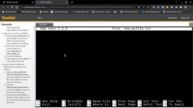 TestOut LabSim using Linux Shell Commands смотреть онлайн